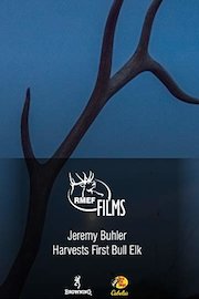 Jeremy Buhler Harvests First Bull Elk