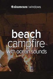 Beach Campfire with Ocean Sounds