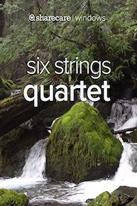 6 Strings Quartet