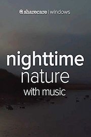 Nighttime Nature with music