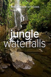 Jungle Waterfalls