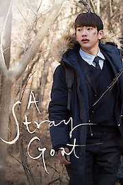 A Stray Goat poster