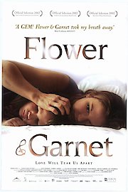 Flower & Garnet poster