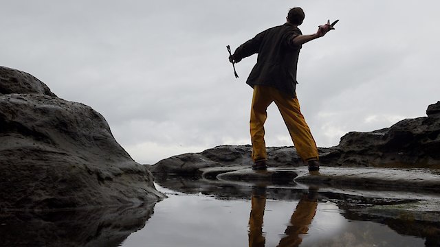 Watch The Serengeti Rules Online