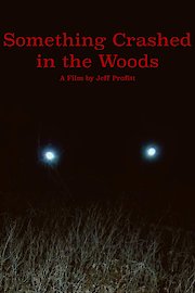 Something Crashed in the Woods poster