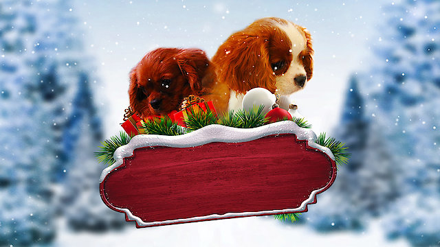 Watch Project: Puppies for Christmas Online