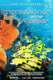 Impressionen unter Wasser poster