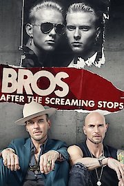 After the Screaming Stops poster