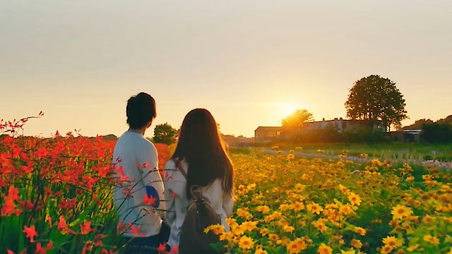 Watch The Hows of Us Online