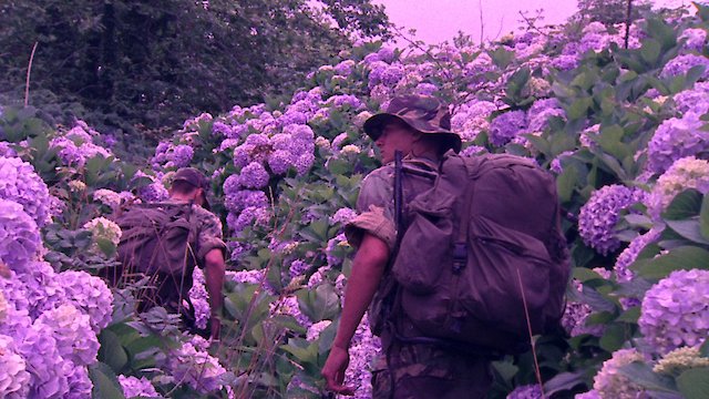 Watch Flores Online