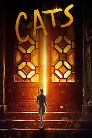 Cats poster