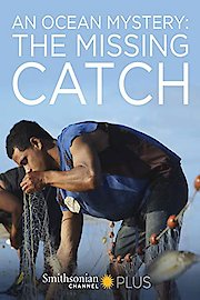 An Ocean Mystery: The Missing Catch