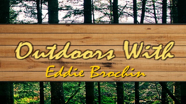 Watch Outdoors with Eddie Brochin Land of Exotics Bow Hunts for Exotic Game In Florida and Africa Online