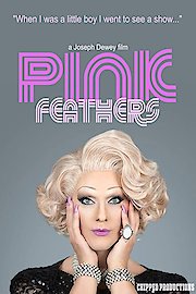 Pink Feathers poster