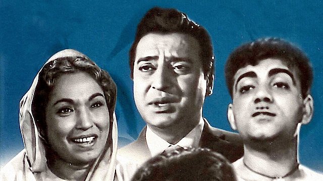 Watch Biradari Online