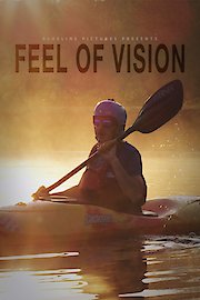 Feel of Vision poster