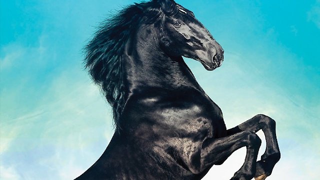 Watch Black Beauty Online