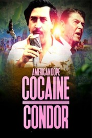 Cocaine Condor poster