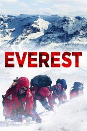 Everest poster