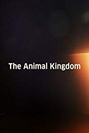 The Animal Kingdom poster