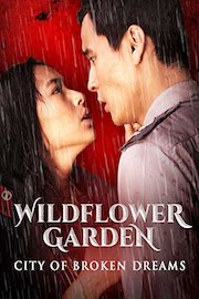 Wildflower Garden