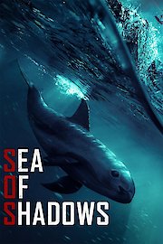 Sea Of Shadows poster
