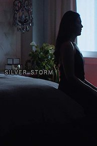 Silver Storm