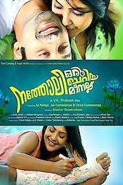 Natholi Oru Cheriya Meenalla poster