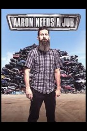 Aaron Needs a Job poster