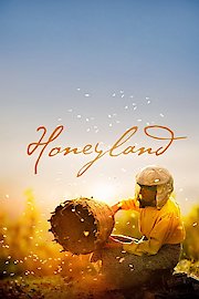 Honeyland poster