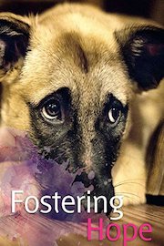 Fostering Hope