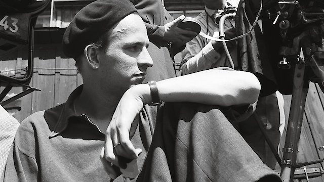 Watch Bergman: A Year in a Life Online