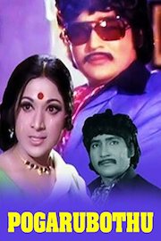 Pogarubothu