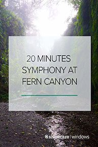 20 Minutes of Symphony at Fern Canyon