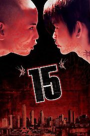 15 poster