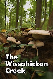The Wissahickon Creek poster