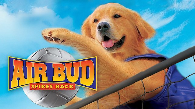 Watch Air Bud: Spikes Back Online