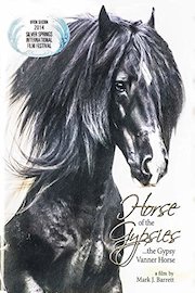 Horse of the Gypsies poster