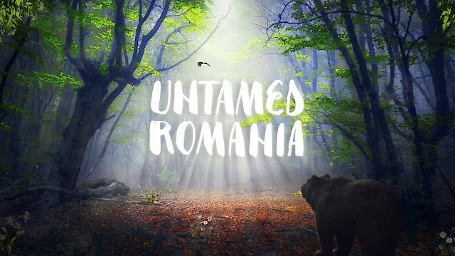 Watch Untamed Romania Online