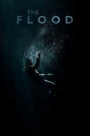 THE FLOOD poster
