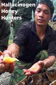 Hallucinogen Honey Hunters poster