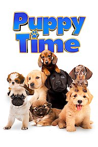 Puppy Time
