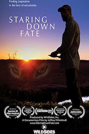 Staring Down Fate
