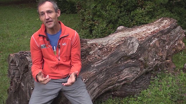 Watch The Other End of the Rope Online