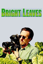 Bright Leaves poster