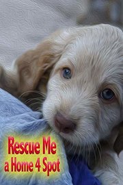Recue Me: A Home 4 Spot