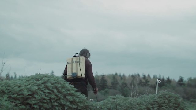 Watch The Lonely Battle of Thomas Reid Online