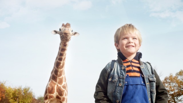Watch My Giraffe Online