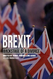 Brexit: The Backstage of a Divorce