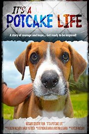It's a Potcake Life Documentary